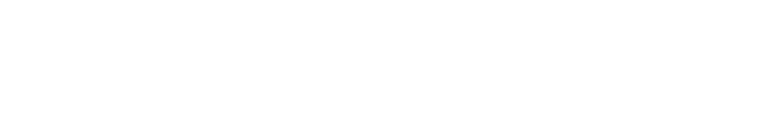 SHINSEGAE INTERNATIONAL