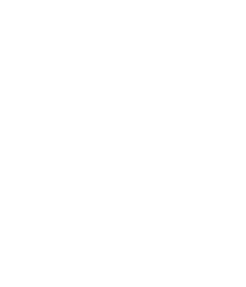 VIDIVICI, YUNJAC, VOICE OF VOICES, SWISS, PERFECTION
